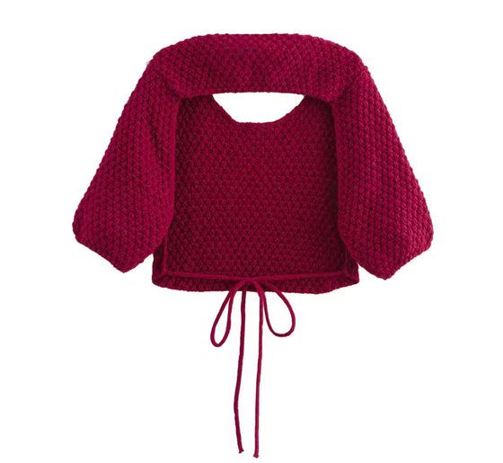 Crimson Cozy Cropped Knit Top with Statement Details