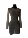 Glitter Mesh Elegance Dress