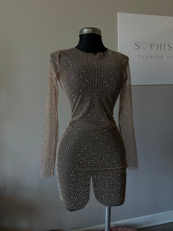 Glitter Mesh Elegance Dress