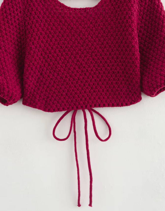 Crimson Cozy Cropped Knit Top with Statement Details